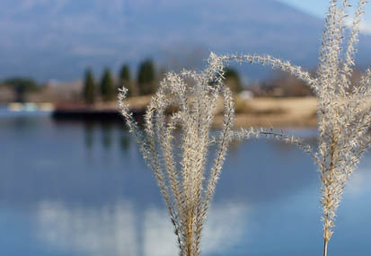 201011291213-DSC04182.jpg