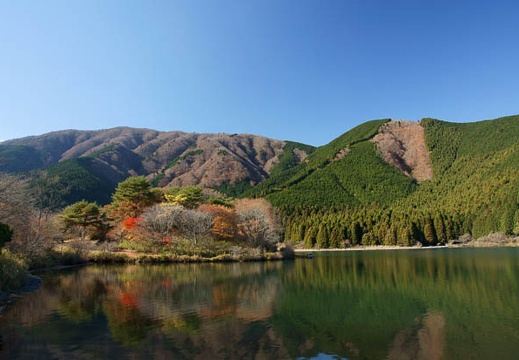 201011291219-DSC04193.jpg