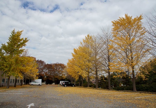 201011301041-DSC04426.jpg