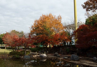 201011301044-DSC04429.jpg