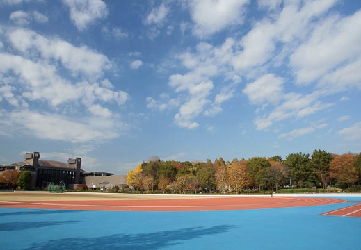 201011301209-DSC04607.jpg