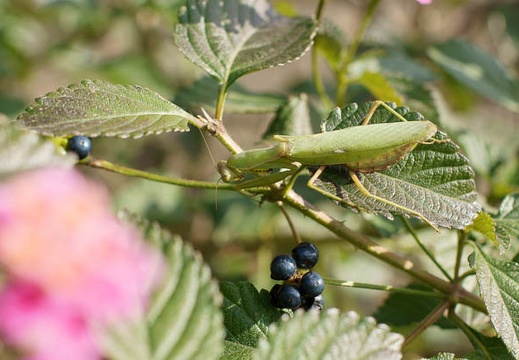 201011301243-DSC04682.jpg