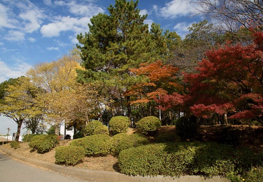 201011301247-DSC04689.jpg