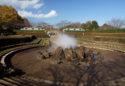 201012031236-DSC05866.jpg