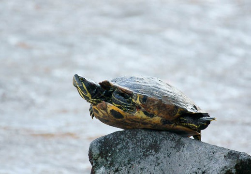 201012031431-DSC06159.jpg