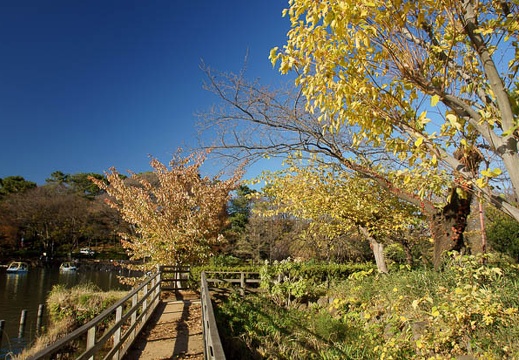 201012041430-DSC06633.jpg