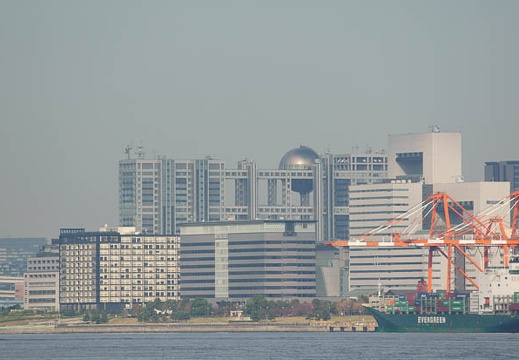 201012051128-DSC06889.jpg