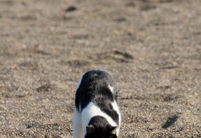 201012051229-DSC07017.jpg