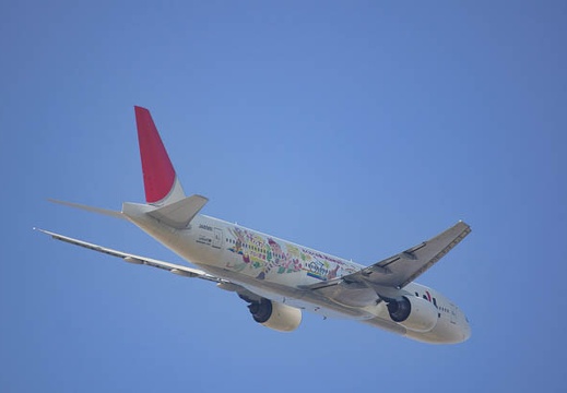 201012051310-DSC07185.jpg