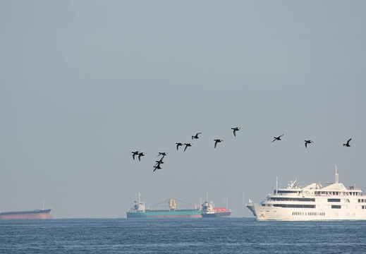 201012051316-DSC07209.jpg