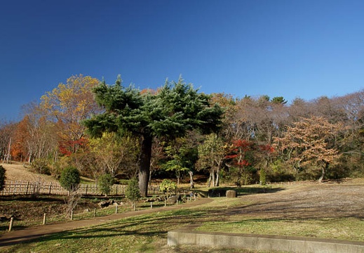 201012080940-DSC00067.jpg
