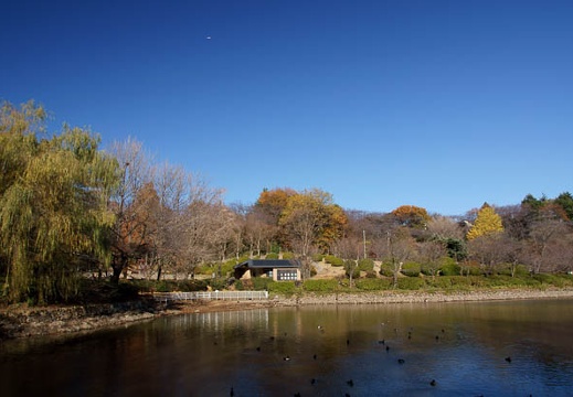 201012081030-DSC00116.jpg