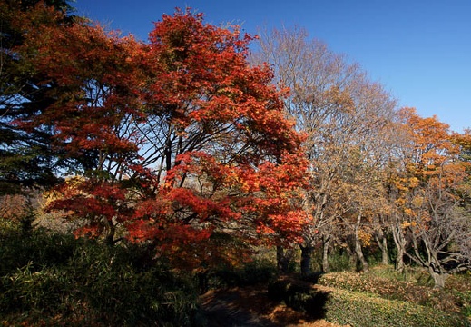 201012081057-DSC00166.jpg