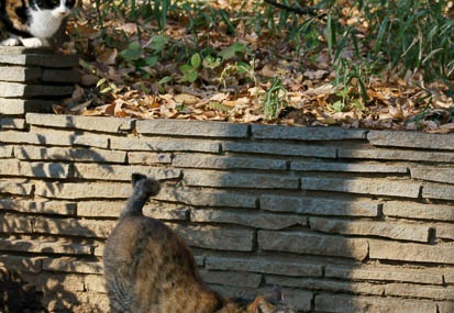 201012081316-DSC00392.jpg