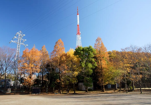 201012081328-DSC00427.jpg