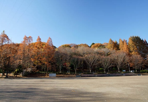201012081329-DSC00430.jpg