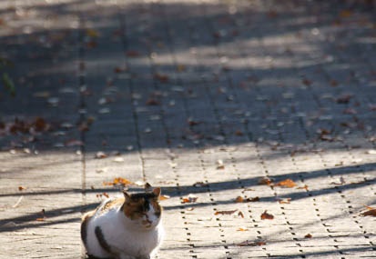 201012101323-DSC00745.jpg