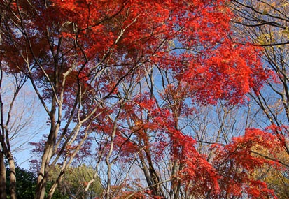 201012101334-DSC00752.jpg