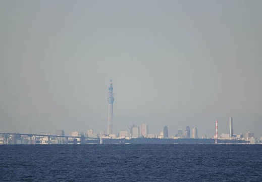 201012171411-DSC02332.jpg