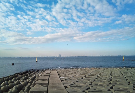 20101217142410-SO-01B.jpg