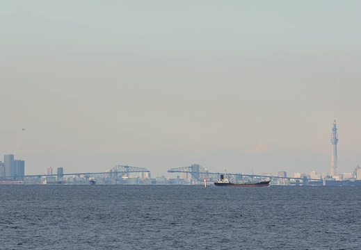 201012171434-DSC02391.jpg