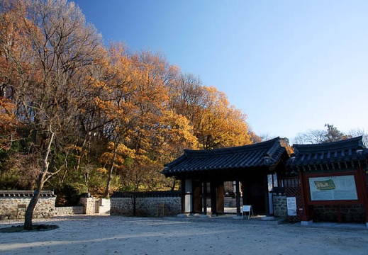 201012230850-DSC03186.jpg