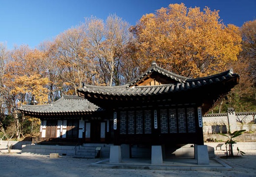201012230858-DSC03201.jpg