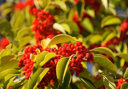 201012271202-DSC04197.jpg