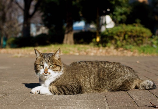 201012271240-DSC04275.jpg