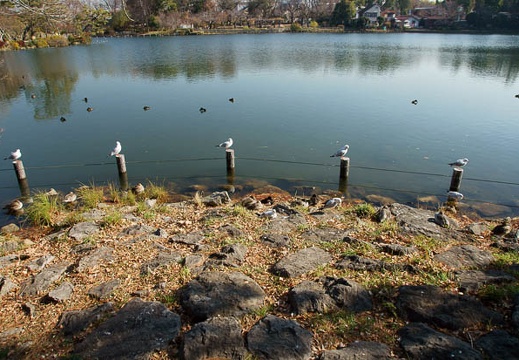 201012281117-DSC04879.jpg