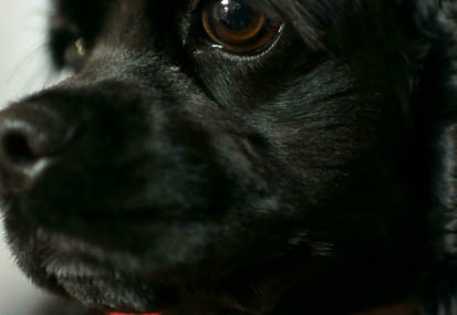 201101012121-DSC05312.jpg