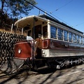 201101021220-DSC05503.jpg