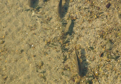 201101031506-DSC05798.jpg