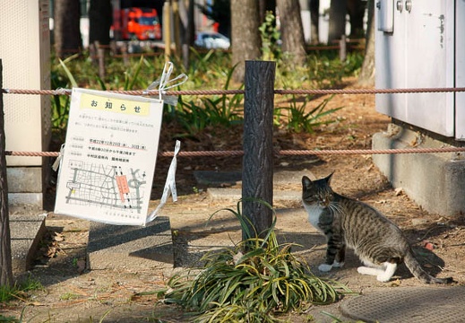 201101041006-DSC06112.jpg