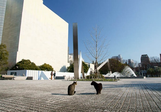 201101041013-DSC06130.jpg