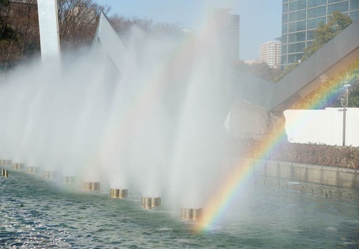 201101041021-DSC06155.jpg