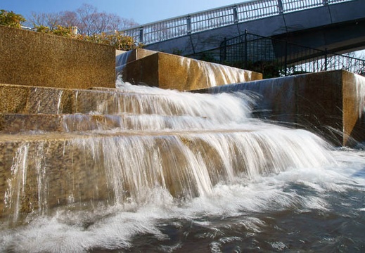 201101041036-DSC06186.jpg