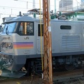201101060902-DSC06418.jpg