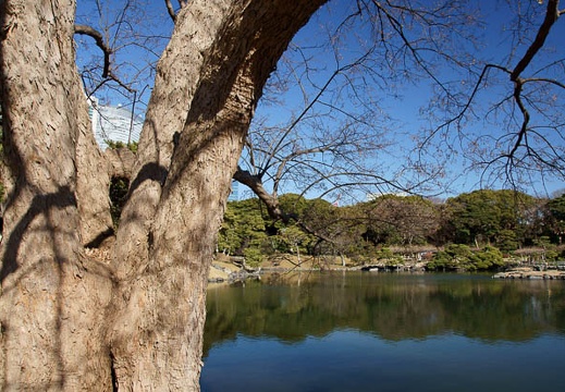 201101061143-DSC06536.jpg