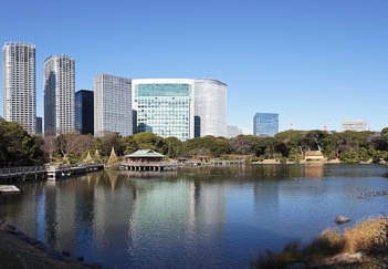 201101061200-DSC06593.jpg
