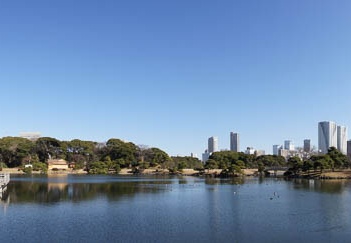 201101061207-DSC06608.jpg