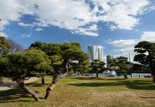 201101061256-DSC06729.jpg