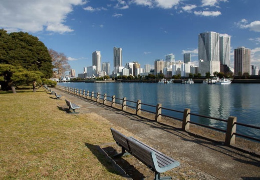 201101061257-DSC06730.jpg