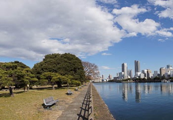 201101061259-DSC06736.jpg