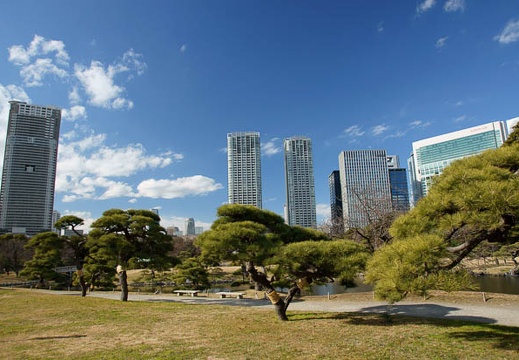 201101061305-DSC06750.jpg
