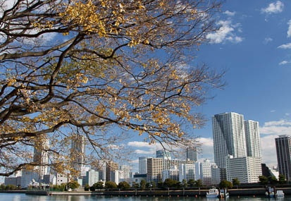 201101061308-DSC06759.jpg