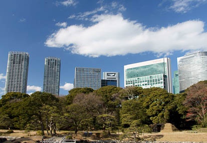 201101061314-DSC06769.jpg