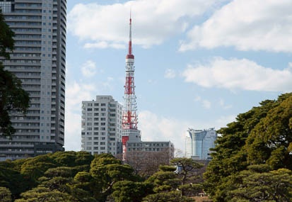 201101061315-DSC06772.jpg
