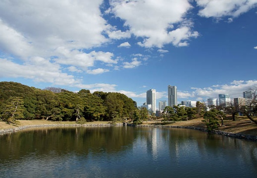 201101061316-DSC06774.jpg