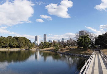 201101061320-DSC06782.jpg